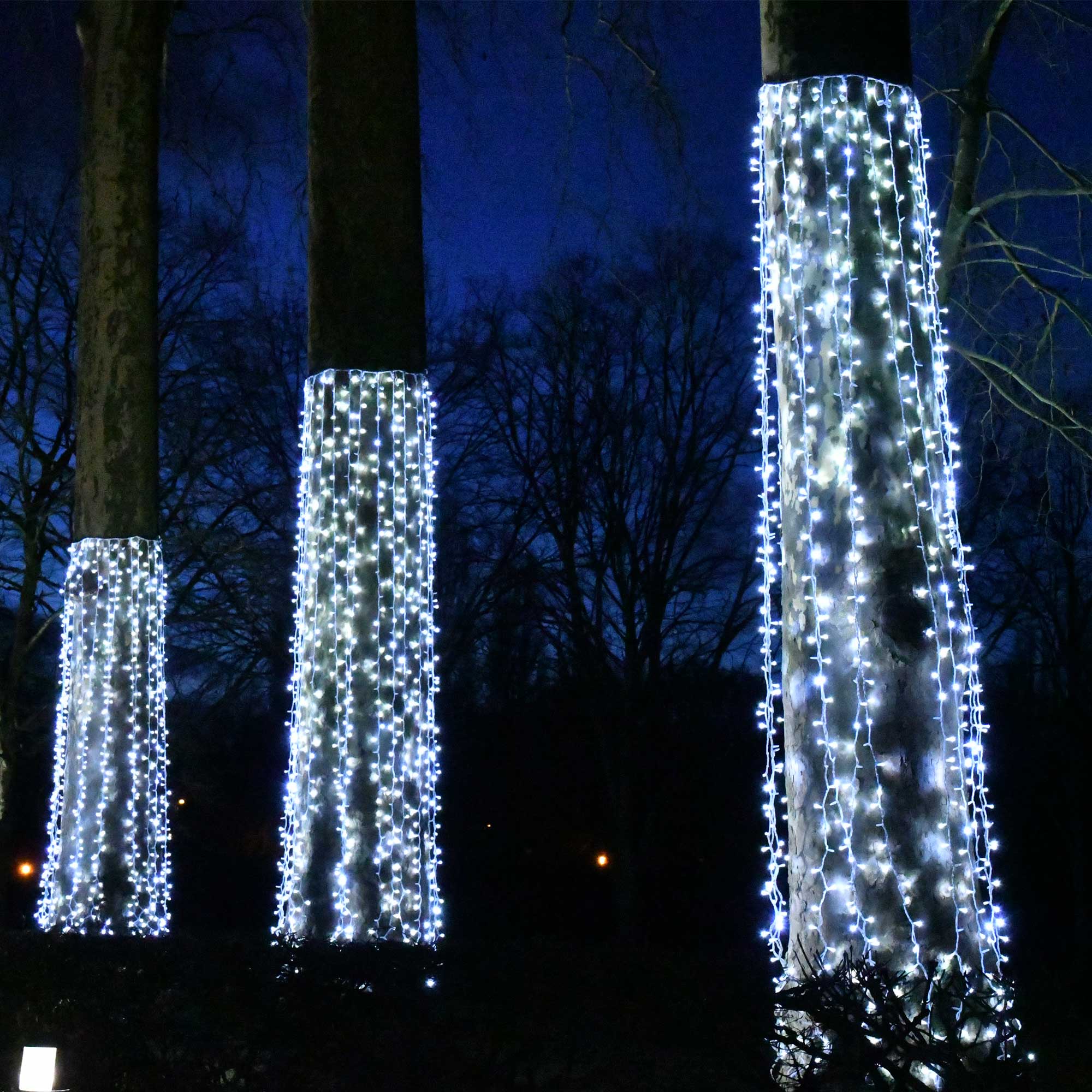 Rideau scintillant Optima H3 x L2m - 230V